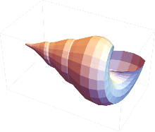 Graphics complex of a seashell with flat shading modeled in Mathematica Flat Shading applied to seashell graphics complex in Mathematica.svg