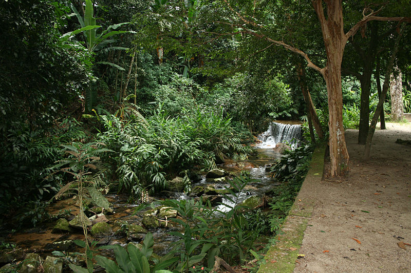 File:Floresta da Tijuca 13.jpg