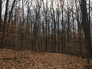 <span class="mw-page-title-main">Fort Dupont Park</span> Park in Washington, D.C., U.S.