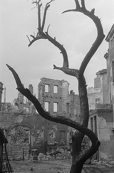 File:Fotothek df ps 0000135 005 Verkohlter Baum gegen Ruinen.jpg