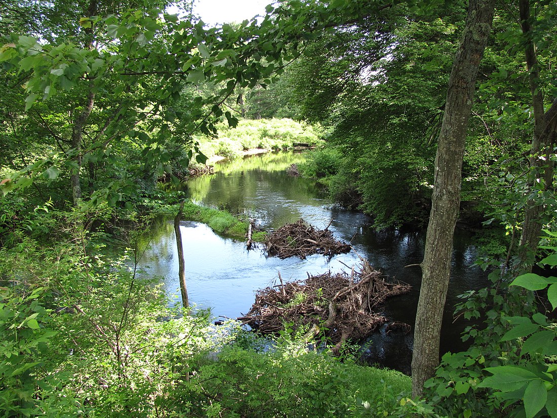 French River (Massachusetts)