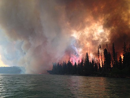 The Funny River Fire in Alaska burned 193,597 acres (78,346 ha), mostly Black spruce taiga