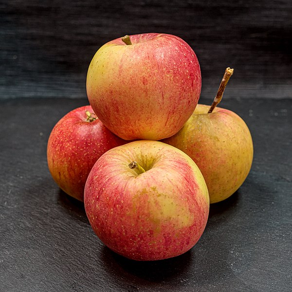 File:Galiwa (apple) jm122857.jpg