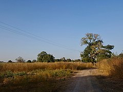 Gambia LowerRiverDivision Countryside January2019.jpg