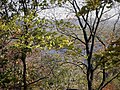 Gfp-iowa-effigy-mounds-peering-at-mississippi-through-trees.jpg