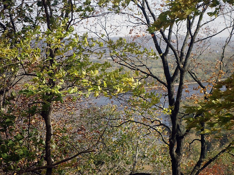 File:Gfp-iowa-effigy-mounds-peering-at-mississippi-through-trees.jpg