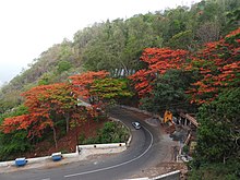 Ghat road to Yercaud