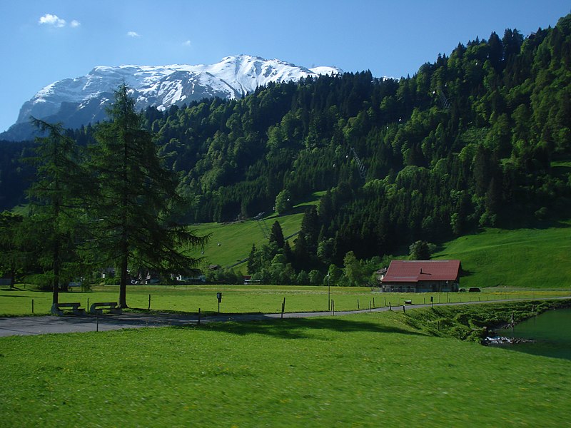 File:Green pastures,lucerne,switzerland - panoramio.jpg