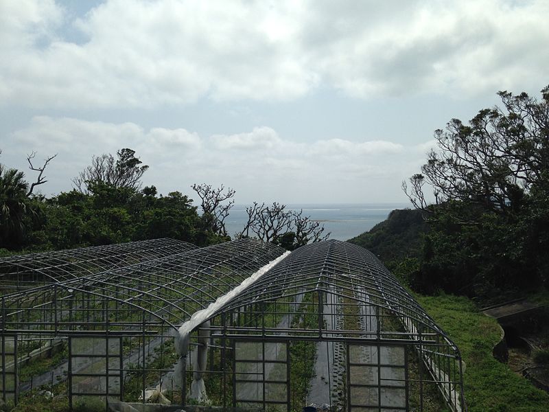 File:Greenhouses near Green Hall Sefa.JPG