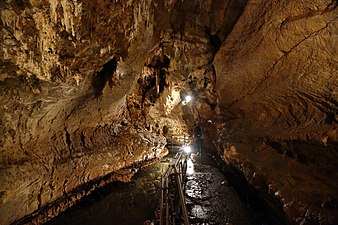 Galerie de la grotte de Sainte Lucie Inférieure.