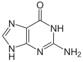 Guaninum (G)