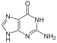 Guanin.svg