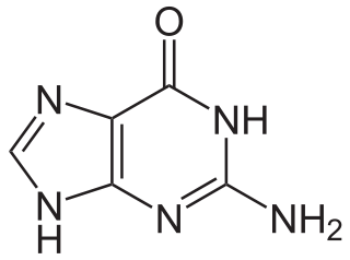 <span class="mw-page-title-main">Guanine</span> Chemical compound of DNA and RNA