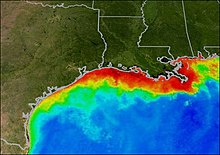 Dead zone in the southern U.S. Gulf dead zone.jpg