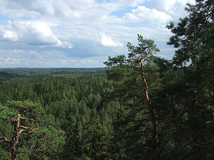 A forest of the Aulanko Reserve[7] in Hämeenlinna, Tavastia Proper, Finland