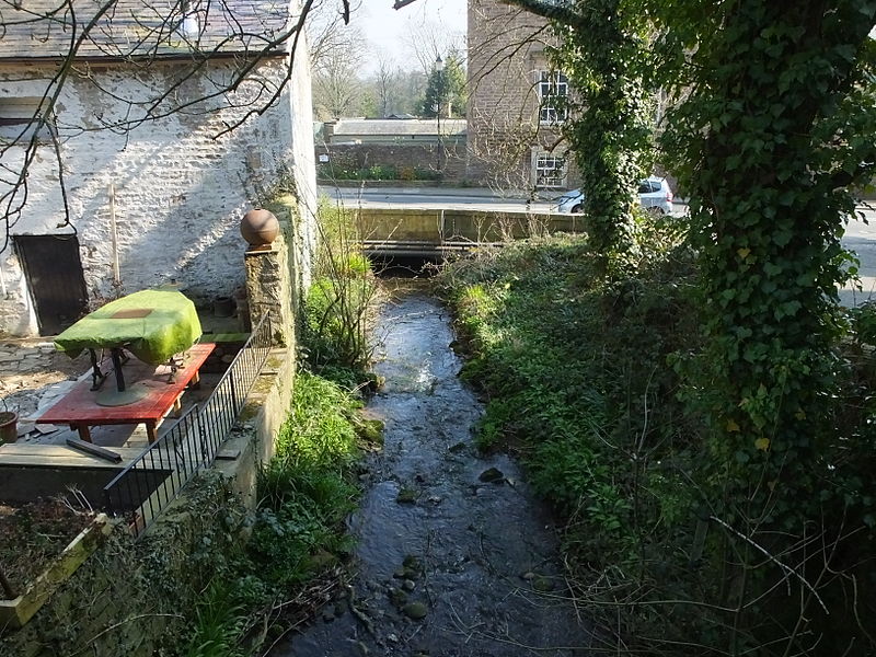 File:Halton Cote Beck 6246.JPG