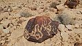 Petroglyphs on Har Karkom ridge, Israel