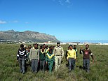 Grupo de conservação comunitário para a região em perigo crítico de Lourensford Alluvium Fynbos em Harmony Flats, Cidade do Cabo.