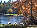 Harris Lake in Highlands, North Carolina.