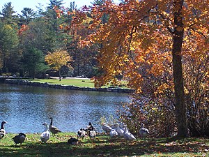 Harris Lake (Highlands, North Carolina)