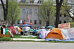 Harvard Free Palestine Camp 25.jpg