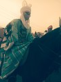 Hausa horseman1.jpg