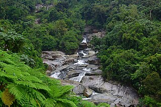 <span class="mw-page-title-main">Icacos River</span> River in Puerto Rico