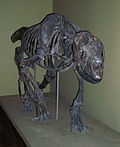 Miniatura para Homalodotherium