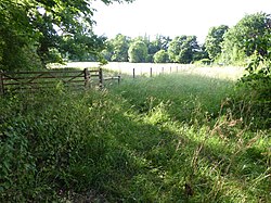 Hutchison's Meadow 1.jpg