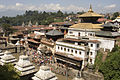 Templo Paŝupatinath en Katmanduo en Valo Katmanduo