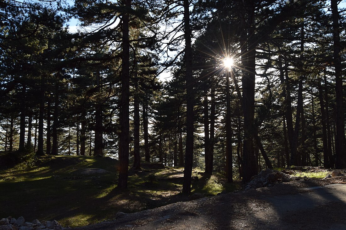 Shtamë Pass Nature Park