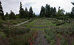 Vignette pour International Rose Test Garden