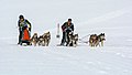 * Nomination Category C1 (4 Siberian Huskies) Virgine BRICE and Julien RULLIER --Isiwal 23:04, 13 December 2018 (UTC) * Promotion  Support I would go with a bit more centered crop, but the current crop isn't a dealbraker for me at the QI level. --Msaynevirta 00:09, 14 December 2018 (UTC)