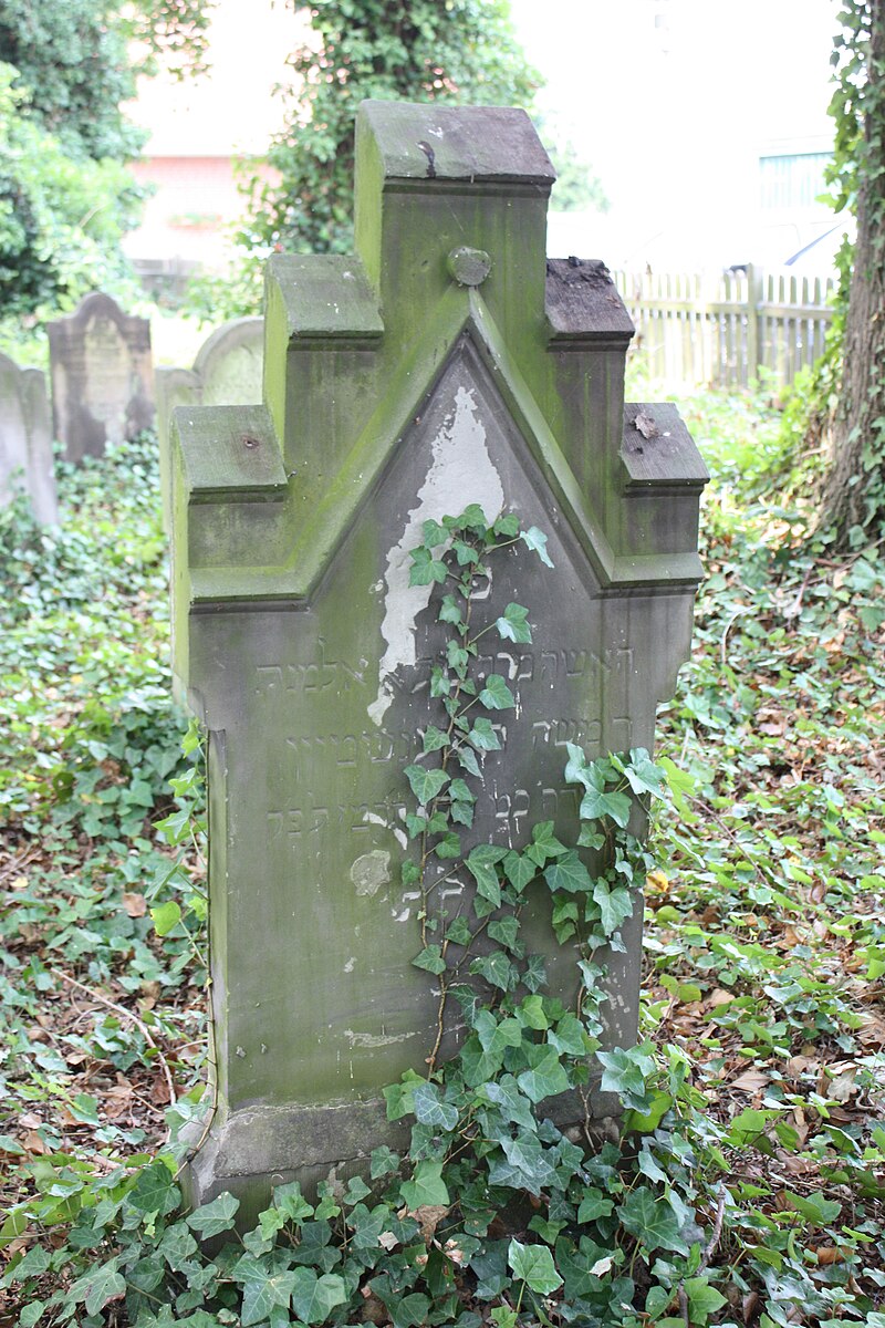 Jüdischer Friedhof Sulingen Juli 2010 41.JPG