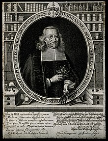Johannes Maius. Line engraving by J. Sandrart after D. Hornu Wellcome V0003796.jpg