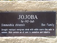 Plaque describing jojoba in the Lost Dutchman State Park (Arizona).