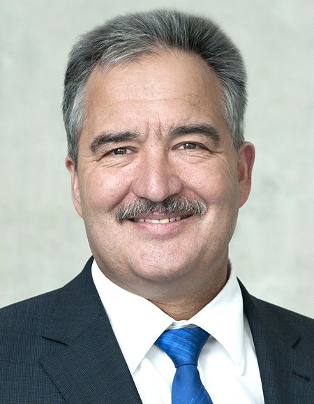 Josef Rief Portrait 2013.jpg