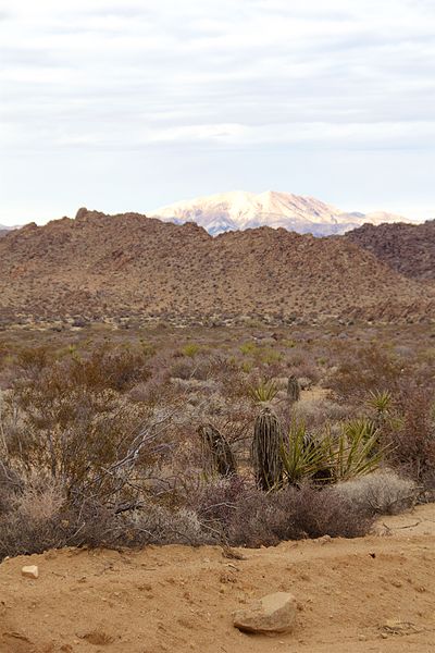 File:Joshua Tree National Park 2015 011.jpg