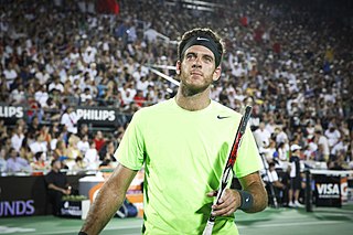 Juan Martin del Potro (8318275533).jpg