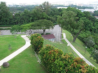 How to get to Jurong Hill Park with public transport- About the place