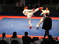 Karate 2011 EM und Karate Team 046.JPG