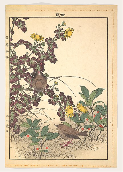 File:Keinen kachō gafu 景年花鳥畫譜-Two Birds and Crysanthemums, from Keinen kachō gafu (Keinen’s Flower-and-Bird Painting Manual) MET DP143148.jpg