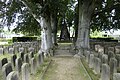 Cemetery of honor for the fallen of the First World War (individual monument for ID no. 09289663)