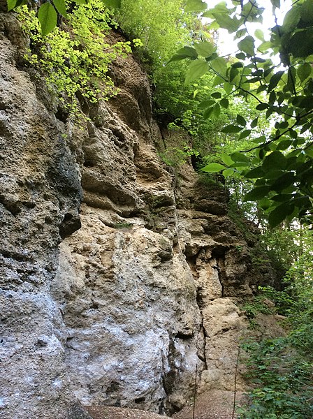 File:Klettergarten Baierbrunn.JPG