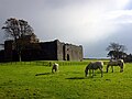 Dealbhag airson an tionndaidh on 05:17, 5 dhen Chèitean 2008