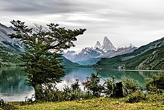 Autre vue du lago del Desierto