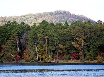 Lake Tillery from Morrow Mountain State Park.jpg