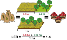 Land equivalent ratio Land Equivalent Ratio v2 0 simple.png