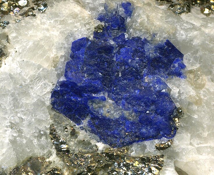 File:Lazurite in pyritic marble (Sakhi Formation, Neoarchean; Sar-e-Sang Deposit, Kokcha Valley, Hindu Kush Mountains, Afghanistan) (29807269083).jpg