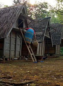 Leuit, Sundanese traditional granary, in West Java, Indonesia. Leuit os 080815-2283 srna.jpg